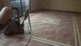 /album/fotogaleria/parte-3-jpg/